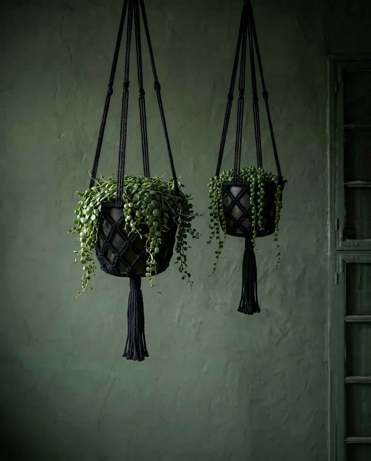 Suspension plante en macramé coton noir avec franges – H110 cm