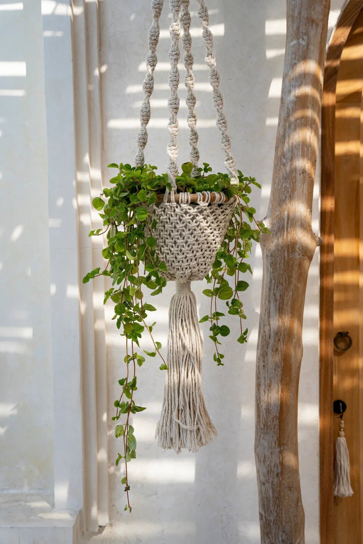 Suspension plante macramé coton torsadé blanc naturel – H135 cm