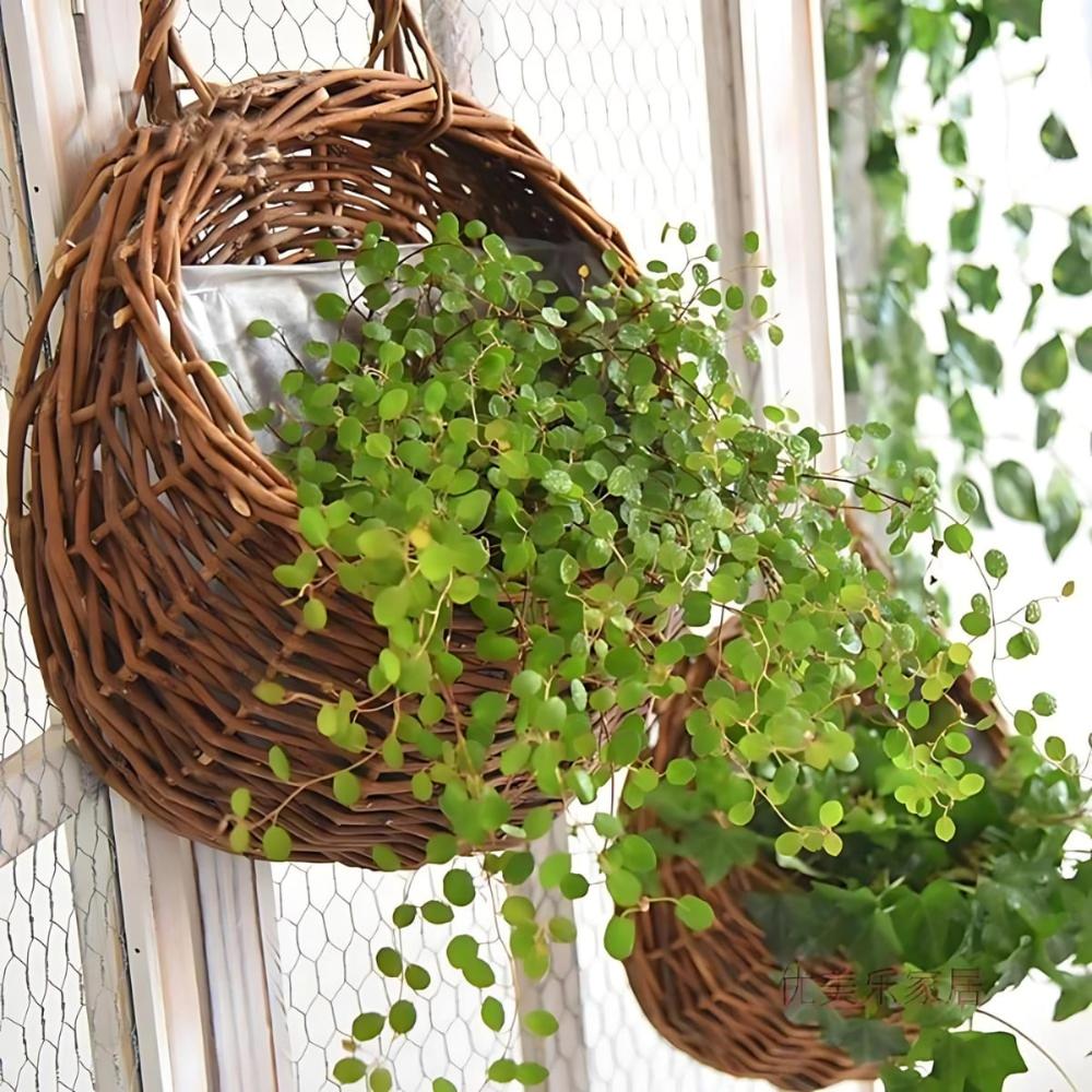 Panier mural en osier pour plantes sur grillages
