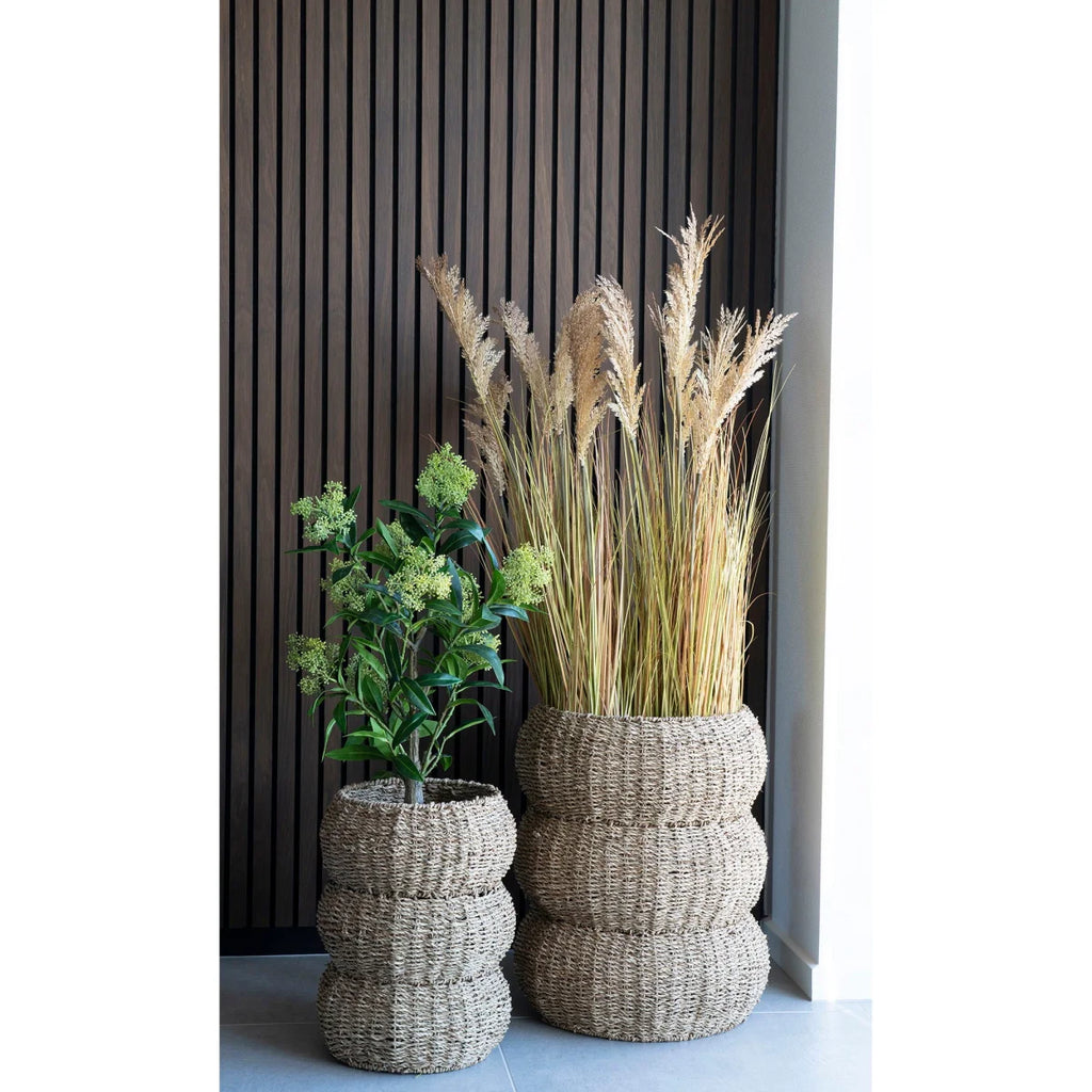 Deux paniers cylindriques en jonc tressé naturel avec pampa et arbuste fleuri