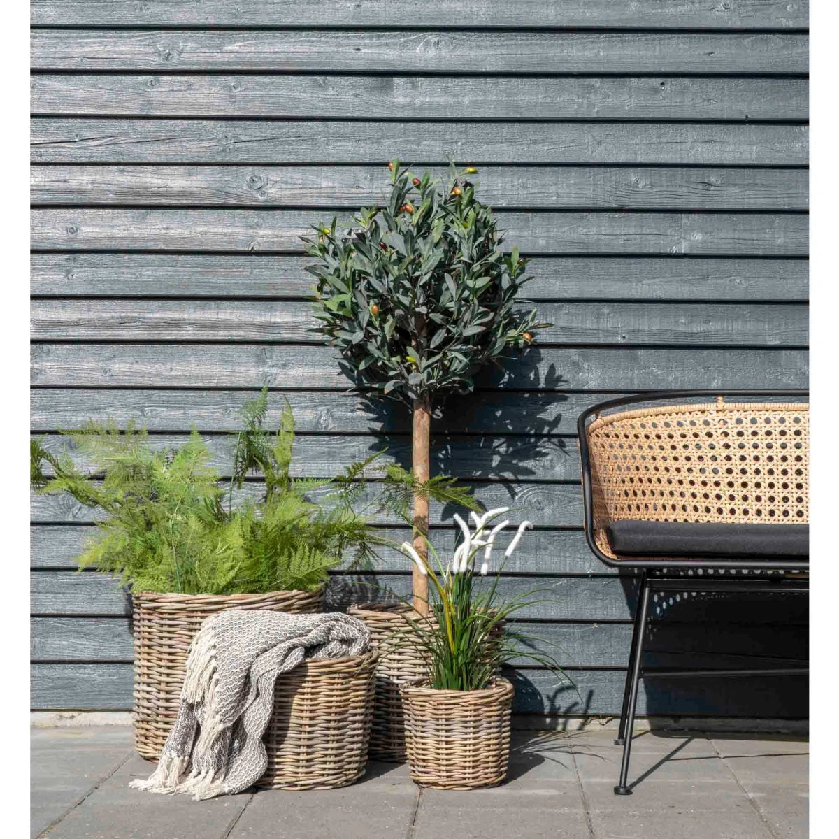 Jardinières en osier tissé aux tons naturels avec verdure et plaid gris texturé