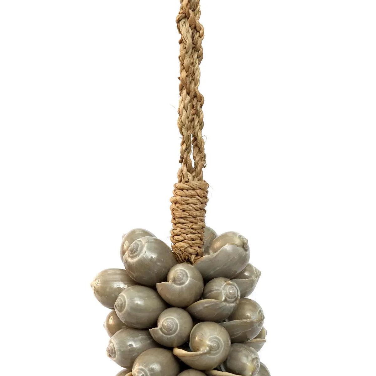 Grappe d’escargots de mer gris sur un porte-rouleau en corde tressée pour décoration